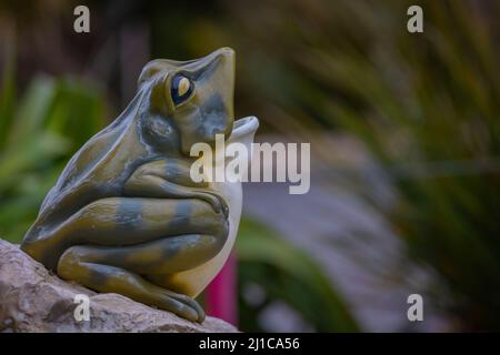 Eine Froschstatue wurde im Zoo in Puget Sound gesehen, die Tiefe im Hintergrund gibt dem Frosch Leben. Stockfoto