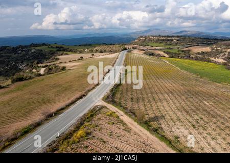 Luftaufnahme eines Weinbergs in der Nähe von Armageti, Region Pafos, Zypern. Stockfoto