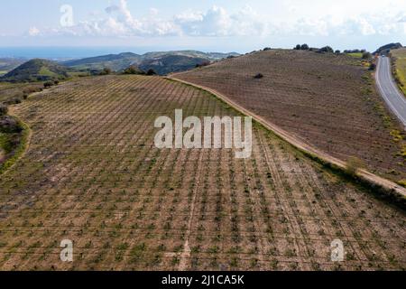 Luftaufnahme eines Weinbergs in der Nähe von Armageti, Region Pafos, Zypern. Stockfoto