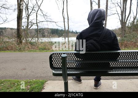 Person, die auf einer grünen Bank am Zementweg vor dem See sitzt. Stockfoto