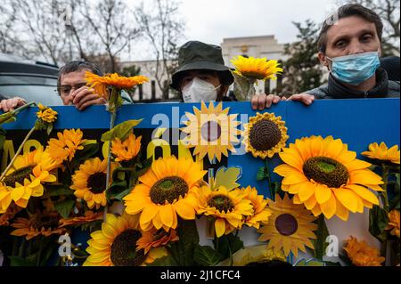 Madrid, Spanien. 24. März 2022. Menschen mit Sonnenblumen werden bei einem Protest vor der russischen Botschaft von Madrid gesehen. Nach einem Monat der Invasion versammelten sich Menschen, um gegen die russische Invasion in der Ukraine zu protestieren und Sonnenblumen, das Symbol der Ukraine, zu tragen. Quelle: Marcos del Mazo/Alamy Live News Stockfoto