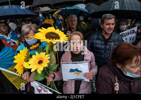 Madrid, Spanien. 24. März 2022. Bei einem Protest vor der russischen Botschaft von Madrid werden Menschen mit Sonnenblumen gesehen. Nach einem Monat der Invasion versammelten sich Menschen, um gegen die russische Invasion in der Ukraine zu protestieren und Sonnenblumen, das Symbol der Ukraine, zu tragen. Quelle: Marcos del Mazo/Alamy Live News Stockfoto