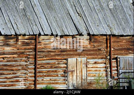 Die Scheunenwand zeigt eingekerbte Holzstämme auf dem alten Stangenstall. Nahaufnahme der Wand und des Eingangs. Stockfoto