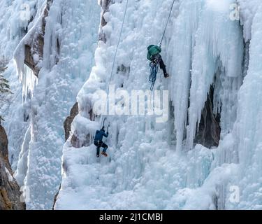 Ein Kletterer auf der linken Seite steigt auf, während ein anderer Kletterer auf der rechten Seite eine 160 m hohe Eiswand im Ouray Ice Park, Colorado, absabelt. Der Kletterer rechts ist carr Stockfoto