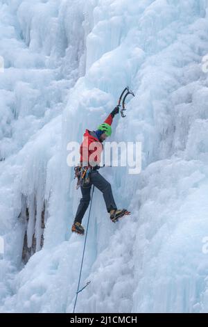 Ein Eiskletterer schraubt einen Eisschraubenanker ein, während er eine 160' hohe Eiswand im Ouray Ice Park, Colorado, klettert. Ein Bleibergsteiger hat kein t Stockfoto