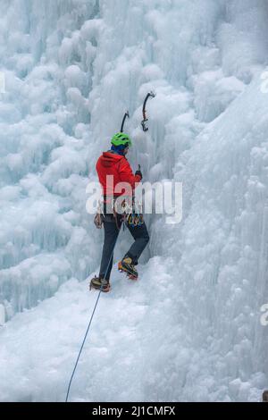Ein Eiskletterer schraubt einen Eisschraubenanker ein, während er eine 160' hohe Eiswand im Ouray Ice Park, Colorado, klettert. Ein Bleibergsteiger hat kein t Stockfoto