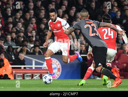 LONDON, ENGLAND - 7. MÄRZ 2017: Theo Walcott aus Arsenal, aufgenommen in Aktion während der zweiten Etappe der UEFA Champions League Runde des Spiels von 16 zwischen Arsenal FC und Bayern München im Emirates Stadium. Copyright: Cosmin Iftode/Picstaff Stockfoto