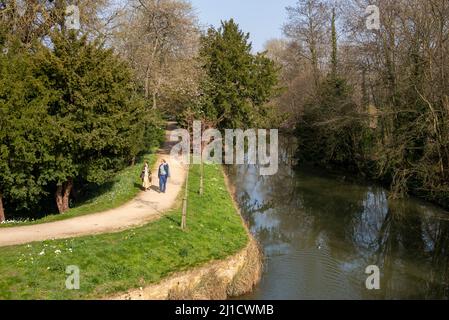 Addison's Walk, Magdalen College, am Fluss Cherwell, Oxford, Großbritannien Stockfoto