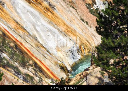 Die schieren Canyon-Wände bilden den Grand Canyon des Yellowstone. Der Yellowstone River schneidet sich durch den unteren Teil des Fotos. Stockfoto