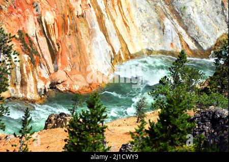 Die schieren Canyon-Wände des Grand Canyon des Yellowstone bilden die Grenze für den Yellowstone River, der durch diesen Portiion des Yellowstone N wütet Stockfoto