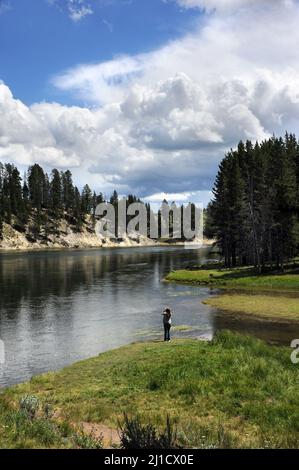 Eine junge Frau schießt im Yellowstone-Nationalpark auf einen Blick auf den Fluss. Kanadische Gänse ruhen am Ausbiss des Flusses, während sie sich umbiegt und in den verschwindet Stockfoto