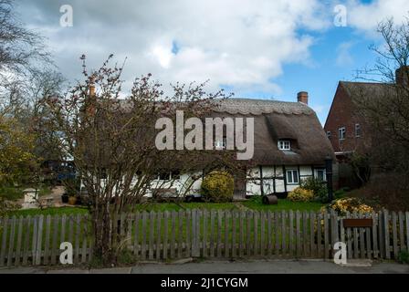 Altes traditionelles romantisches Reetdach englisches Landhaus Stockfoto