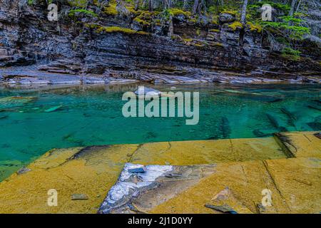 Das klare Wasser von McDonald Creek, Glacier National Park, Montana, USA Stockfoto