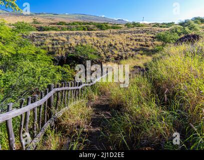 Holzzaun entlang des Ala Kahakai Trail National Historic Trail, Hawaii Island, Hawaii, USA Stockfoto