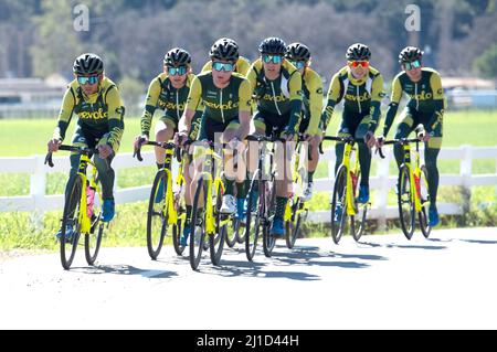 Das Aevolo Under 23 Herren Radsportteam auf einer Trainingsfahrt in den Santa Monica Mountains in Kalifornien. Stockfoto