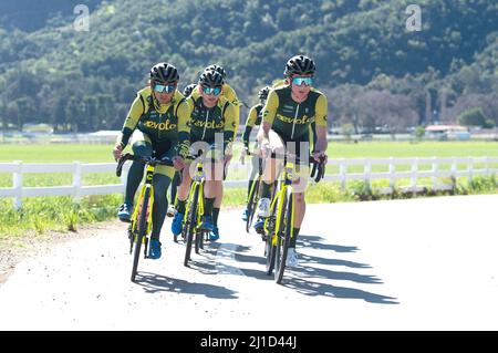 Das Aevolo Under 23 Herren Radsportteam auf einer Trainingsfahrt in den Santa Monica Mountains in Kalifornien. Stockfoto