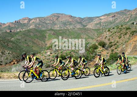 Das Aevolo Under 23 Herren Radsportteam auf einer Trainingsfahrt in den Santa Monica Mountains in Kalifornien. Stockfoto