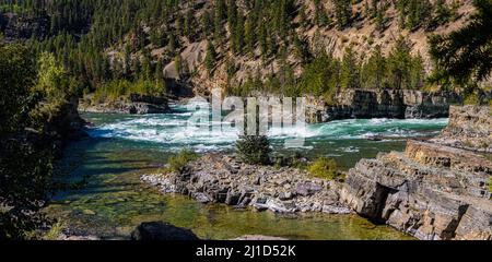 Stromschnellen und Felsbrocken am Kootenai River, Lincoln County, Montana, USA Stockfoto