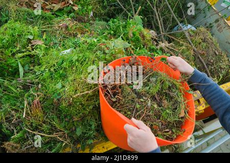 Grüner Kompost.Gemüseabfall.Gemüsekompost in einem orangefarbenen Silikonkorb in den Händen eines Mannes.Bio-Müll andere Pflanze Stockfoto