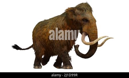 Eine 3-D-Illustration eines Woolly Mammuts auf weißem Hintergrund. Stockfoto