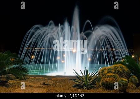 Brunnen und Kaktusgarten in der Wüste bei Nacht, Tucson, Arizona Stockfoto