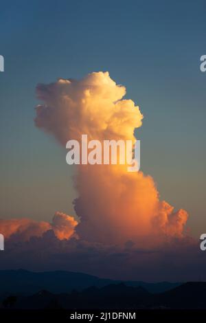 Cumulonimbus Wolke über Tucson, Arizona in der Sonoran Wüste bei Sonnenuntergang während der Sommersturmsaison Stockfoto