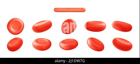 Realistische darstellung der roten Blutkörperchen mit 3D Vektorsymbole Stock Vektor