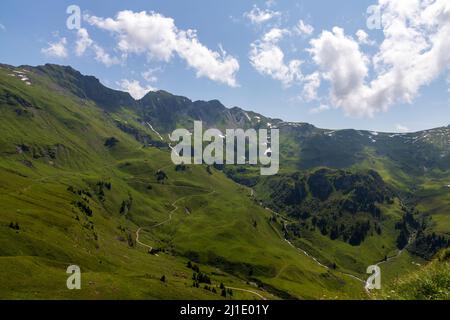 Wanderung in Meiringen mit Blick auf die Schweizer Alpen, Sommer Stockfoto