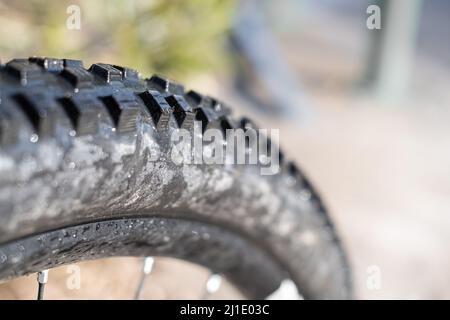 Schwarzer Gummireifen mit großen Knöpfen von einem Mountainbike aus nächster Nähe Stockfoto