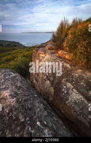 Sonnenlicht auf Felsen im bouddi Nationalpark in der Nähe des Ozeans Stockfoto