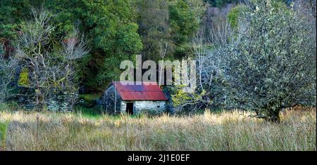 Verfallene Hütte Teil des Geisterdorfes Rhiwddolion Foto von der Roman Road im Betws-Y-Coed Snowdonia National Park Gwynedd North aufgenommen Stockfoto