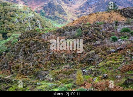 Atemberaubende Aussicht auf Herbst Farbe von der Aussichtsplattform oberhalb des Hieronymus Kupfer Minein der Nantgwynant Tal Beddgelert Snowdonia National Park gesehen Stockfoto