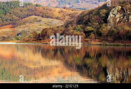 Llyn Dinas See mit Herbstreflexen auf der Wasseroberfläche mit herbstlichen Tönungen und Farben der nahe gelegenen Wälder im Snowdonia National Park Nantgwynant Stockfoto