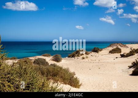 Grandes Playas de Corralejo in Fuerteventura, Kanarische Inseln, Spanien Stockfoto