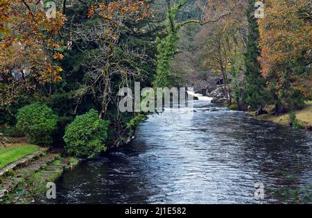 Der Fluss Llugwy verläuft im Herbst durch das Dorf Betws Y Coed, das als Tor zum Snowdonia National Park in Gwynedd North Wales, Großbritannien, bekannt ist Stockfoto