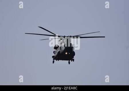 Nahaufnahme eines Hubschraubers der Royal Air Force chinook, der am 23.. März 2022 von der RAF Brize Norton Air Station in Carterton, Oxfordshire, abfliegt Stockfoto