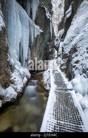 Winterlandschaft mit einem wilden Bach und Wasserfällen durch eine enge Schlucht und Schlucht mit Schnee und Eis bedeckt. Der Nationalpark Mala Fatra in Slowakisch Stockfoto
