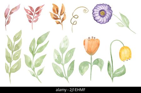 Aquarell-Set mit hellen Blumenmuhlen. Handbemalte Blumen und Grün Illustration isoliert auf weißem Hintergrund. Niedliche Blumen für das Design Stockfoto