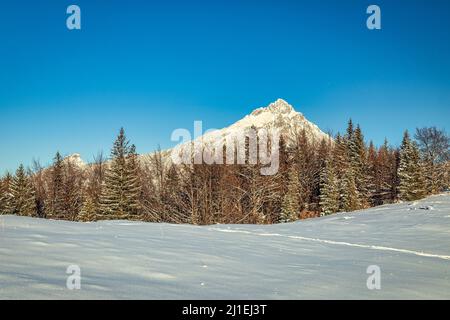 Winter Berg verschneite Landschaft an einem sonnigen Tag. Der Velky Rozsutec Hügel im Nationalpark Mala Fatra in der Slowakei, Europa. Stockfoto