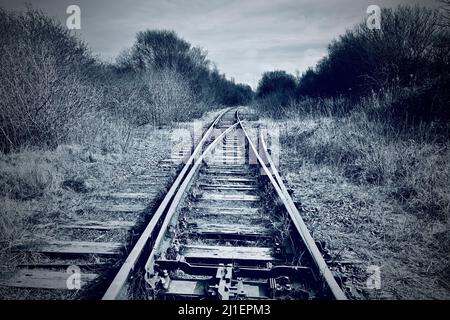 Überwuchert stillgeworfene Eisenbahnstrecke in ländlicher Umgebung Stockfoto