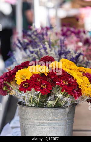 Sonntagsszenen vom Union Square Farmer's Market in New York City. Stockfoto