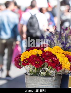 Sonntagsszenen vom Union Square Farmer's Market in New York City. Stockfoto