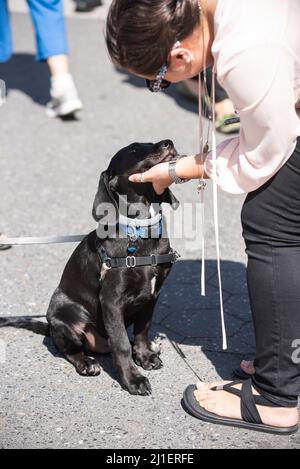 Sonntagsszenen vom Union Square Farmer's Market in New York City. Stockfoto