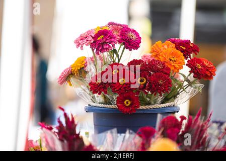 Sonntagsszenen vom Union Square Farmer's Market in New York City. Stockfoto