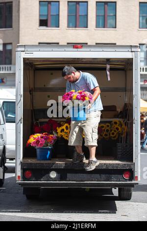 Sonntagsszenen vom Union Square Farmer's Market in New York City. Stockfoto