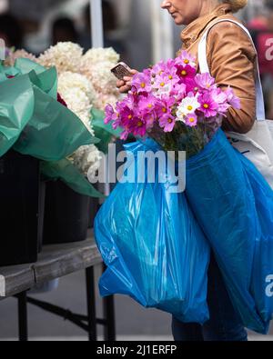 Sonntagsszenen vom Union Square Farmer's Market in New York City. Stockfoto