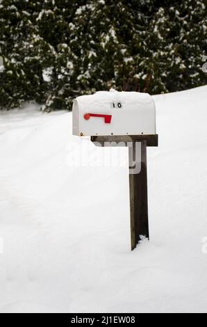 Weißer Briefkasten am Straßenrand mit roter Flagge auf einem Holzpfosten an einem verschneiten Tag. Ein isolierter Briefkasten mit Schnee und grünen Bäumen im Hintergrund. Stockfoto