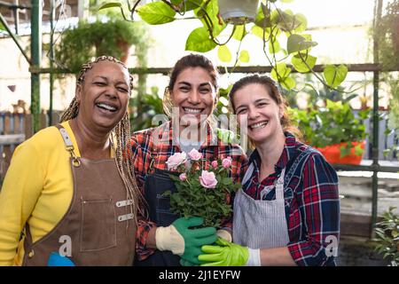 Glückliche multirassische weibliche Gärtnerinnen, die in Pflanzen und Blumen im Gartenladen arbeiten Stockfoto