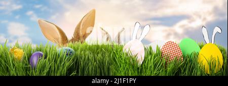 Schöne Grußkarte mit Ostereiern und niedlichem Hasen, das sich im grünen Gras versteckt Stockfoto