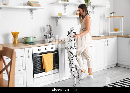 Junge Frau mit dalmatinischem Hund in der Küche Stockfoto